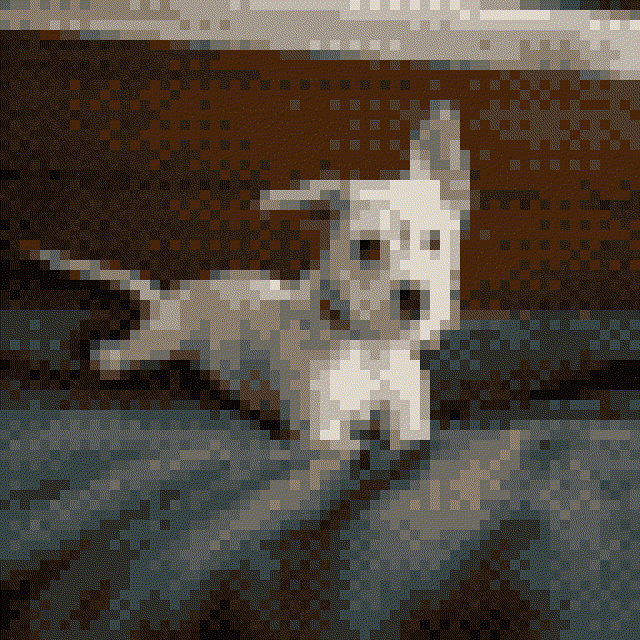 Podiumsdiskussion Ziviler Ungehorsam