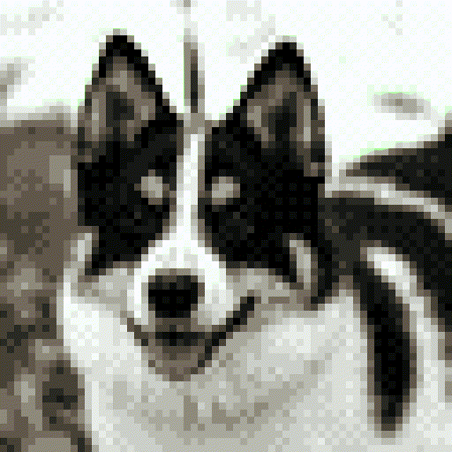 Marie Kolb und Josephine Götze