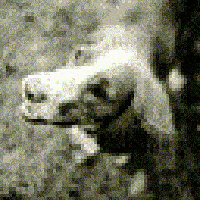 Podiumsdiskussion Kampagnen